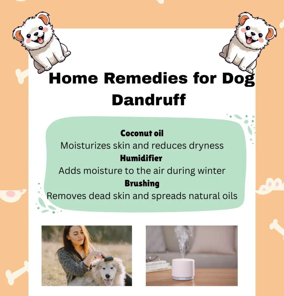 How to Get Rid of Dog Dandruff