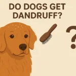 Do Dogs Get Dandruff