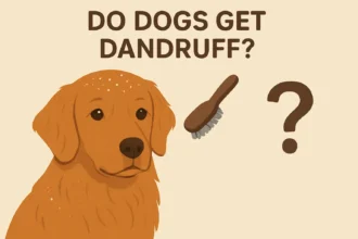 Do Dogs Get Dandruff