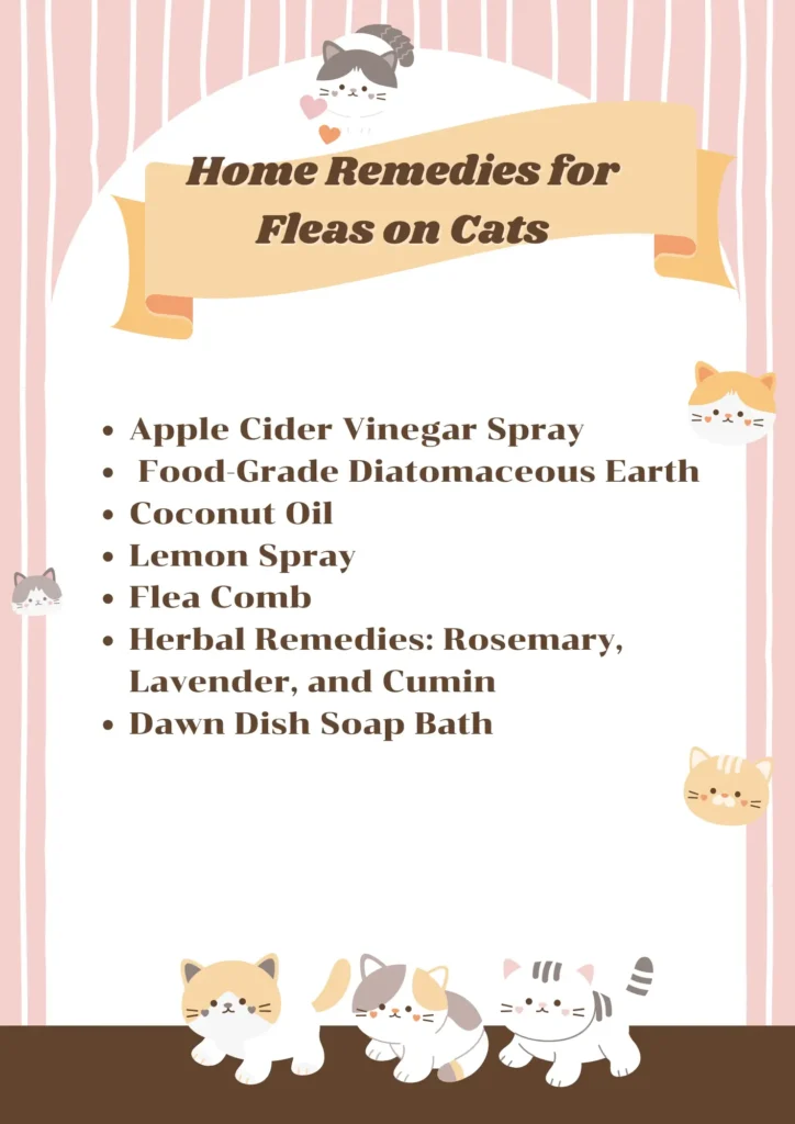 Home Remedies: Fleas on Cats