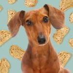 Can Dogs Eat Banana Bread