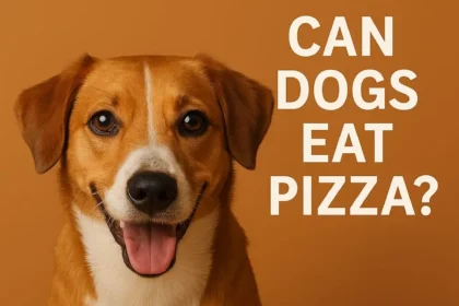 Can Dogs Eat Pizza
