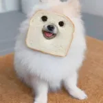 Can Dogs Eat Wheat Bread? A Comprehensive Guide to Dog Nutrition and Safe Treats