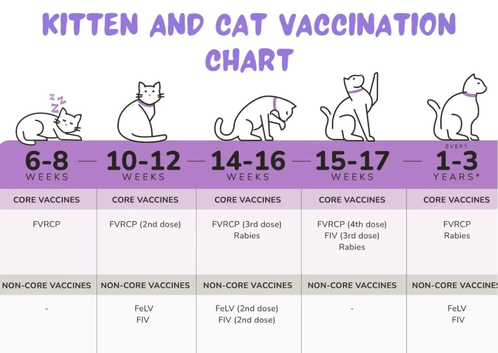 Feline Leukemia (FeLV) Vaccine Guide