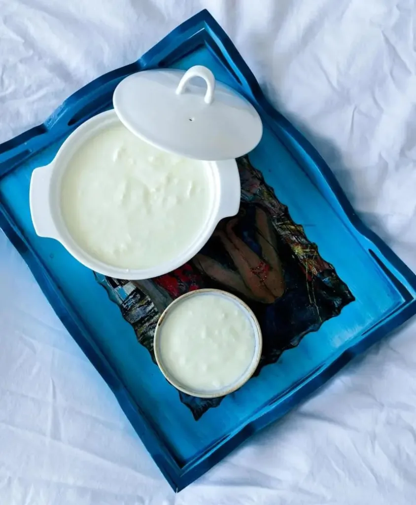 img 20250916 wa00122054675691184581797 Can dogs eat greek yogurt
