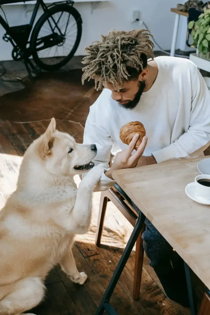 img 20250917 wa00161885833200721572490 Can Dogs Eat Sourdough Bread?