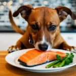Can Dogs Eat Salmon